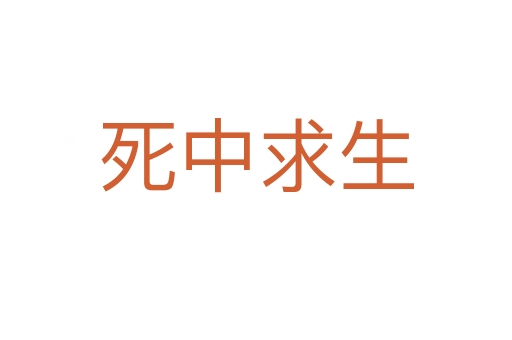    中求生