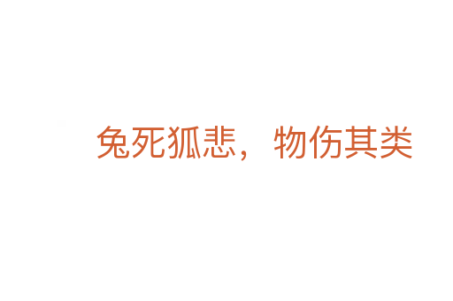 兔 狐悲,物伤其类