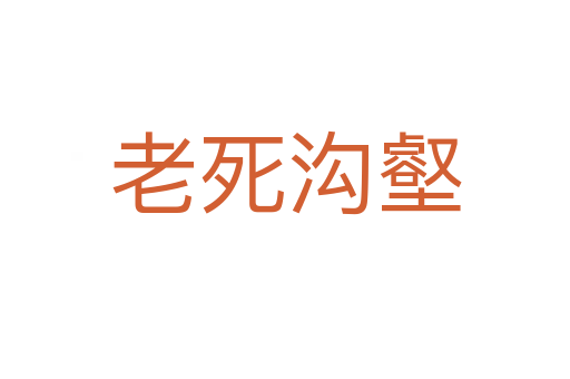 老   沟壑