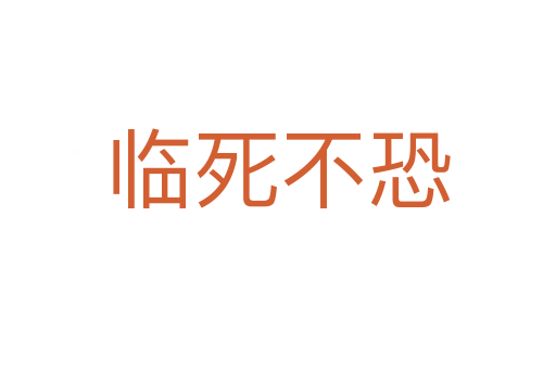 临 不恐