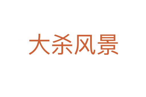 大 风景