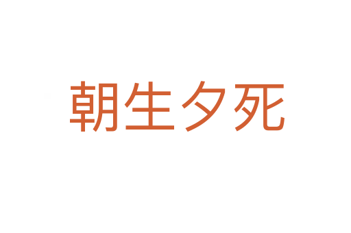 朝生夕   