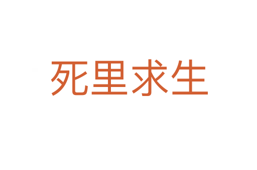    里求生