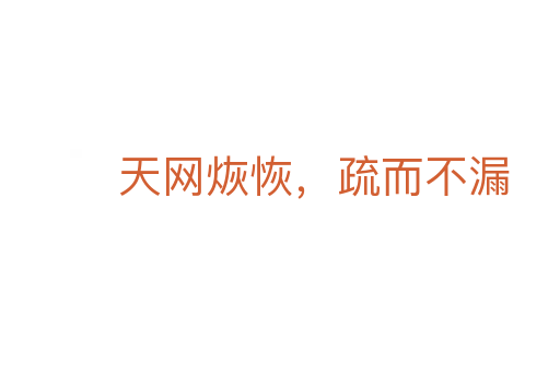 天网烣恢,疏而不漏