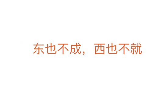 东也不成,西也不就