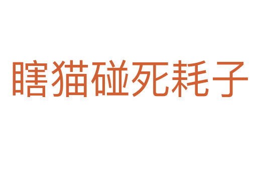 瞎猫碰   耗子