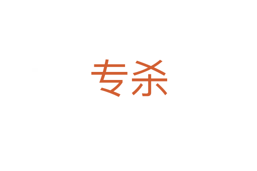 专   